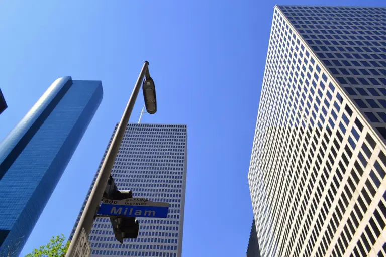 Advantages of the Franchise and the Franchise Business Model