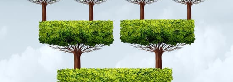 Franchise and the selection of a franchisor